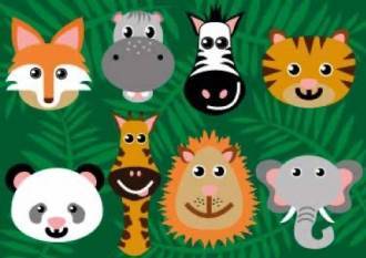 Wild Animals