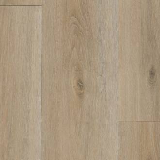 Planum Forte 100 Scandinavian Oak