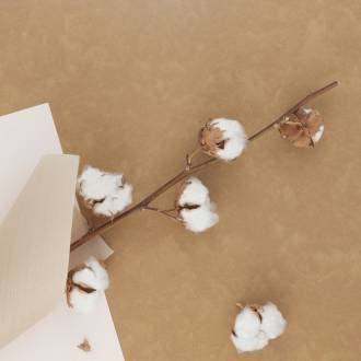 Tarkett Linoleum Veneto